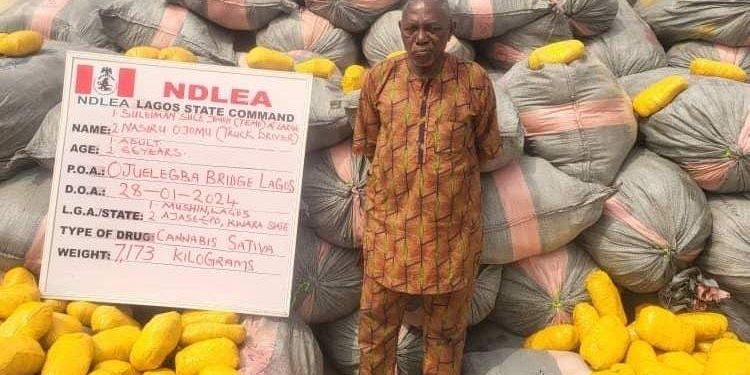 NDLEA intercepts 145 tons of Ghanaian Loud in Lagos — NDLEA intercepts 145 tons of Ghanaian Loud in Lagos —