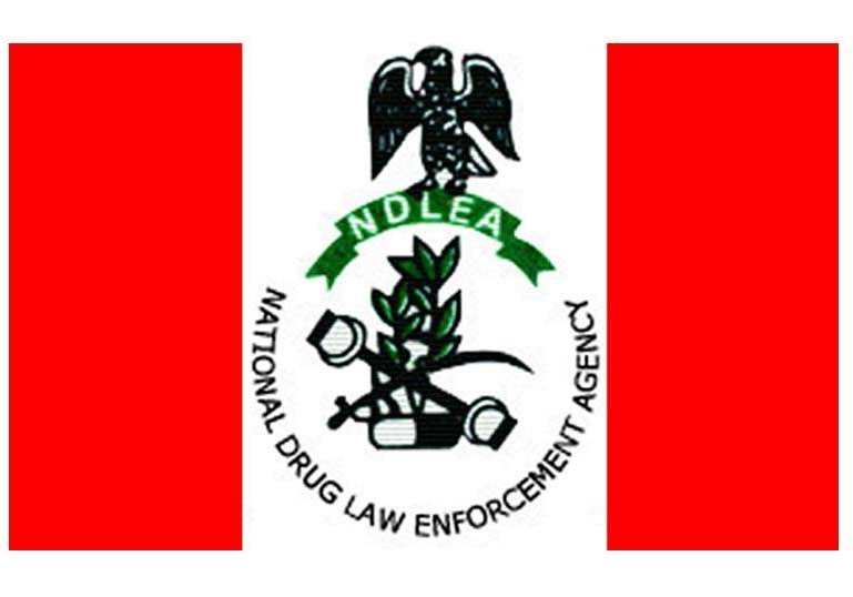 NDLEA NDLEA