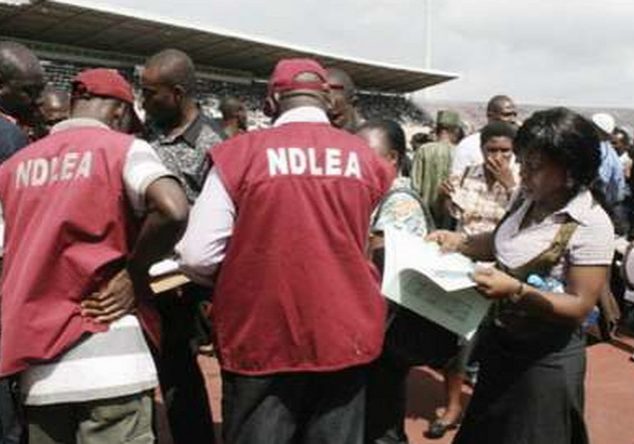 NDLEA operatives attacked by drug barons in Edo Suspected drug barons attack NDLEA operatives, soldiers in Edo — Daily Nigerian