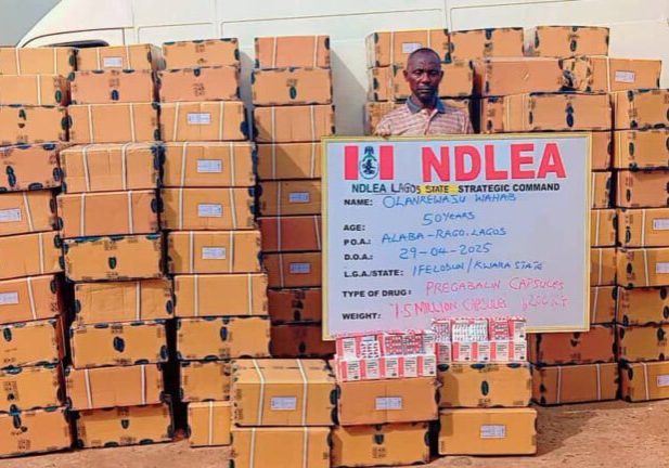 NDLEA recovers 653kg Colos, Loud in Lagos, Abuja raids — Daily Nigerian