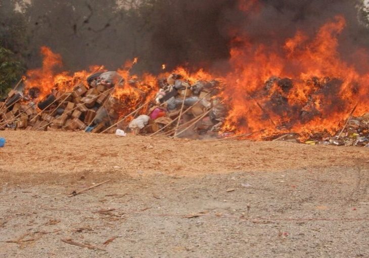 NDLEA intercepts 100,000 pills of tramadol in Kano, destroys 16,966kgs of skunk — Daily Nigerian