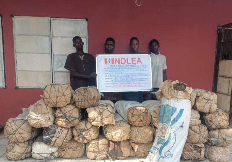 NDLEA uncovers South Africa bound 15m Tramadol Rohypnol pills at Lagos NDLEA uncovers South Africa bound 15m Tramadol Rohypnol pills at Lagos