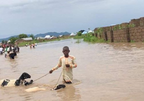 NEMA Distributes Relief Items to Kebbi Flood Victims NEMA Distributes Relief Items to Kebbi Flood Victims
