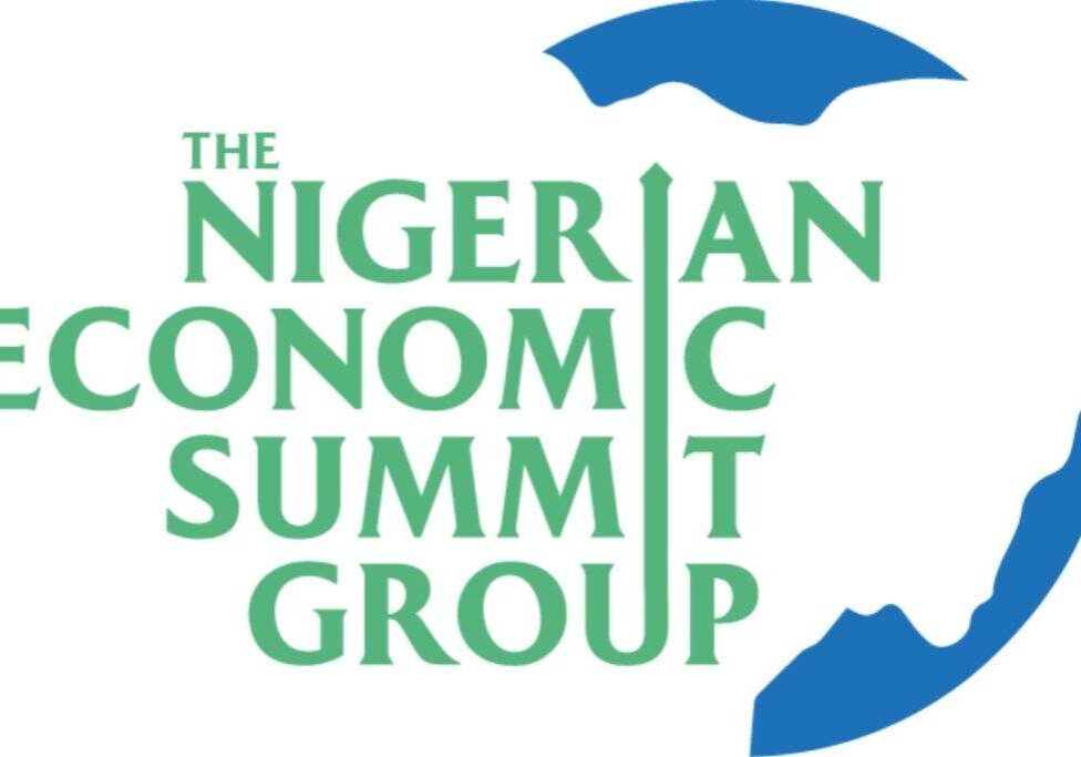 NESG picks holes in Tinubus 2024 budget