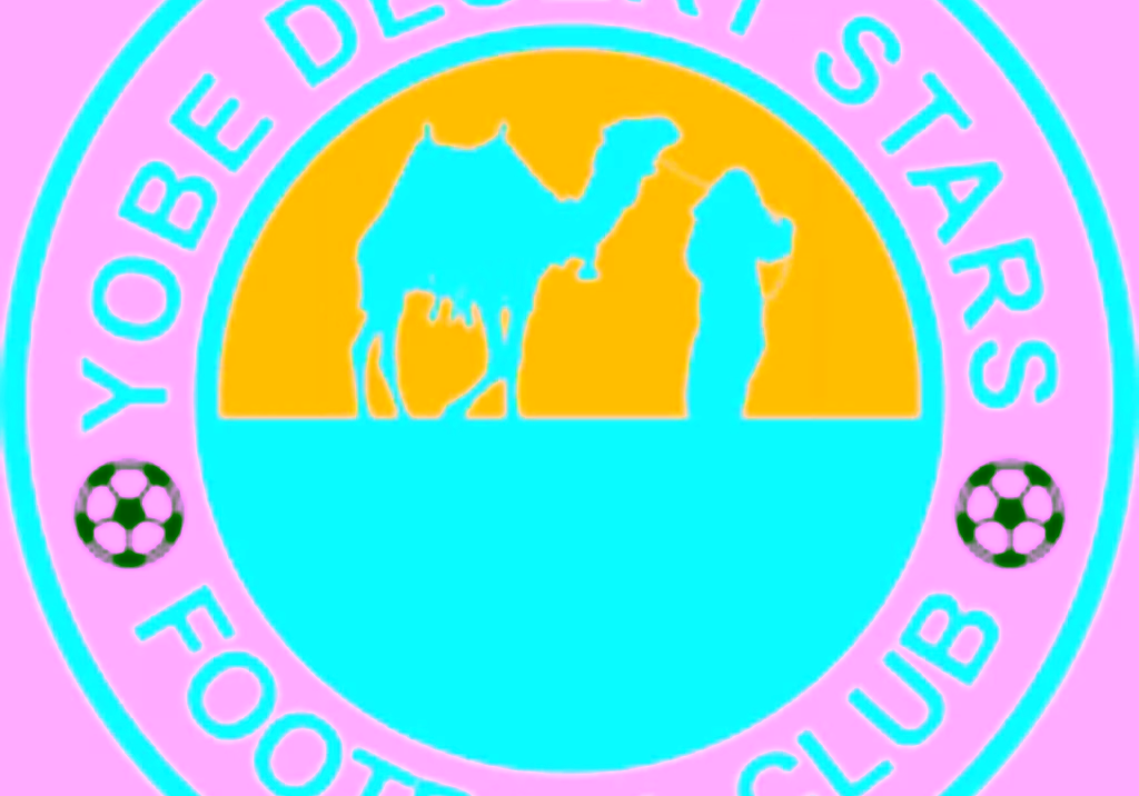 NNL: Yobe Desert Stars sign eight new players NNL: Yobe Desert Stars sign eight new players