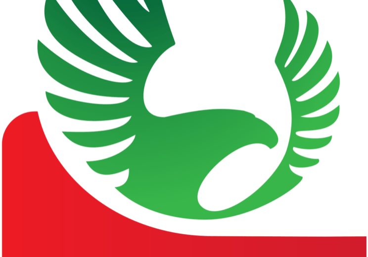 NPFL fines Enyimba for misconduct suspends official NPFL fines Enyimba for misconduct suspends official