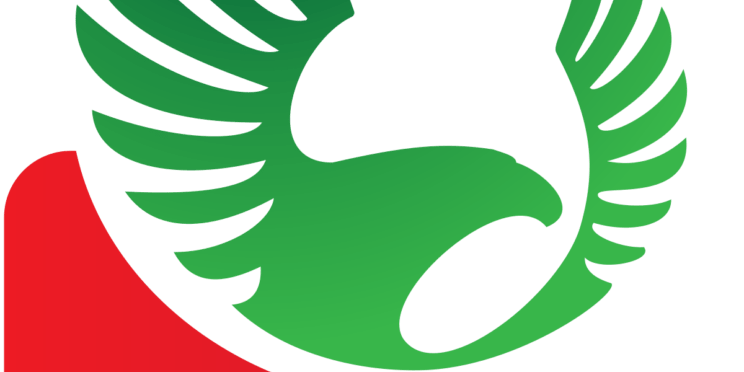 NPFL fines Enyimba for misconduct suspends official NPFL fines Enyimba for misconduct suspends official