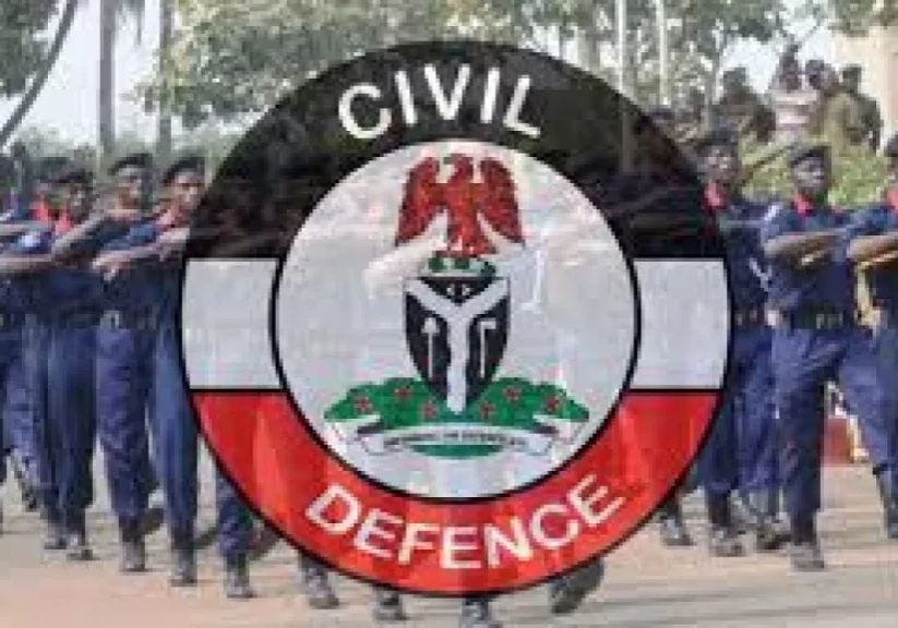 NSCDC records 125 rape, vandalism cases in Jigawa
