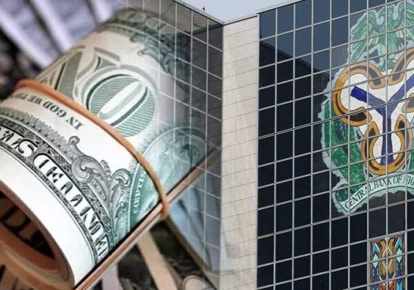 Naira Nigerias external reserves shed 428bn in 2023 Naira Nigerias external reserves shed 428bn in 2023