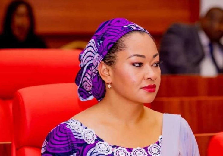 I've been approached by presidency to join APC - Natasha