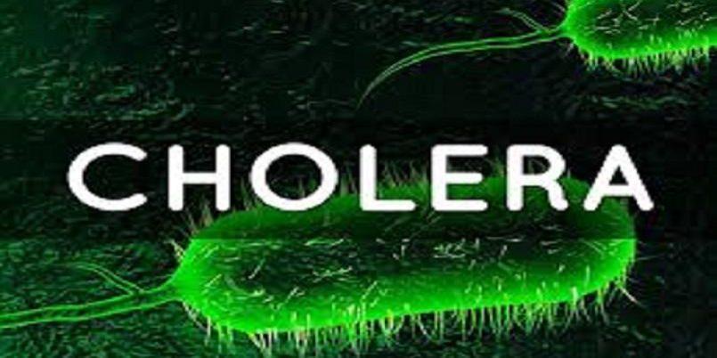 Niger Cholera Cases Resurface: UNICEF Bolsters Sanitation Amid Ongoing Outbreaks Cholera Outbreak: Niger records 27 new cases despite containment efforts