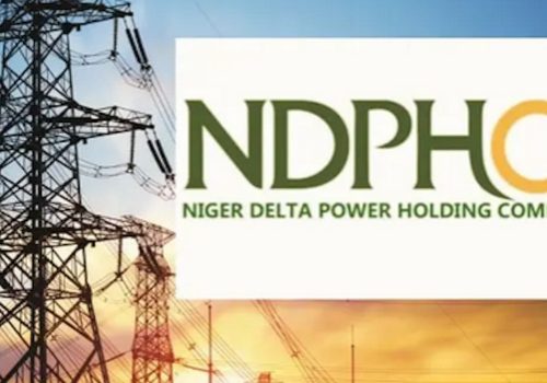 House Committee Inspects NDPHC 565MW Plant, Commends High Safety Standards • Channels Television