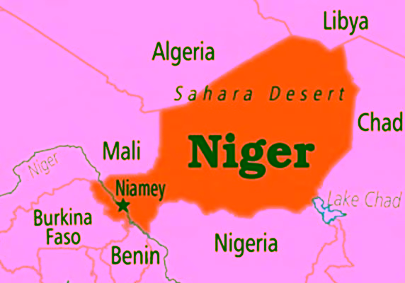 Niger Republic quits Lake Chad military force