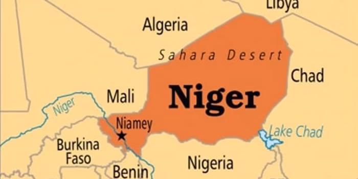 Niger Republic quits Lake Chad military force