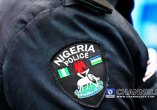 Niger State Police Dismisses Fatalities Claims in "End Bad Governance" Niger State Police Dismisses Fatalities Claims in "End Bad Governance"