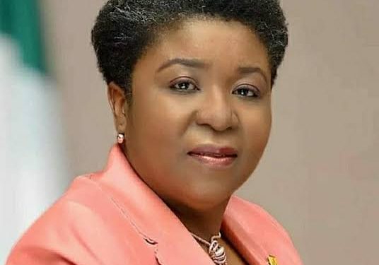 Nigeria Civil Service audit committees inaugurated under Tinubu agenda Nigerian govt begins personnel audit on civil servants, BVN, NIN of each worker to be captured — Daily Nigerian