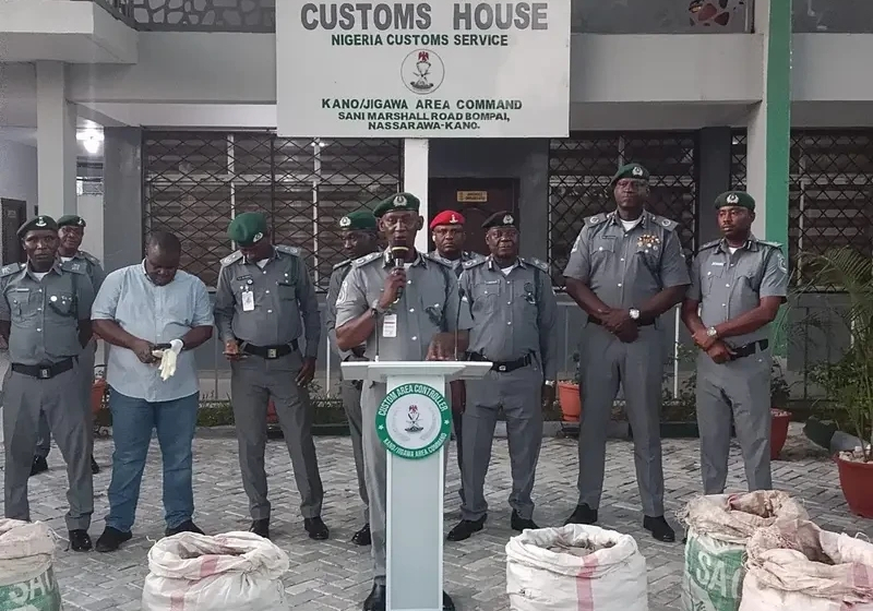 Nigerian Customs seizes 420kg Pangolin scales in Kano — Daily Nigerian