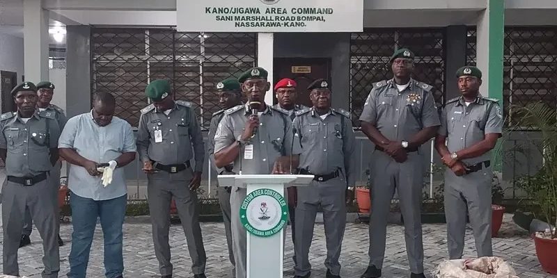Nigeria Customs Seizes 420kg Pangolin Scales in Kano-Jigawa Operation Nigerian Customs seizes 420kg Pangolin scales in Kano — Daily Nigerian