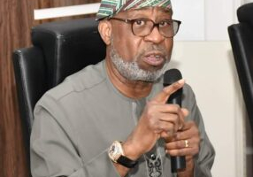 Blackmail won’t stop crackdown on illegal mining, Alake declares — Daily Nigerian