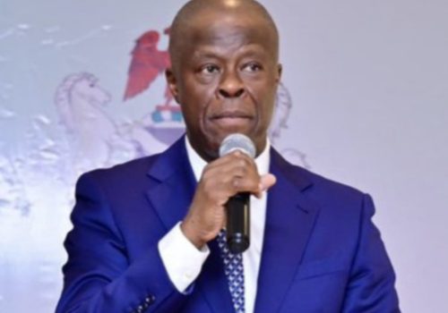 FG Aims For Less Borrowing, More Investment — Wale Edun • Channels Television