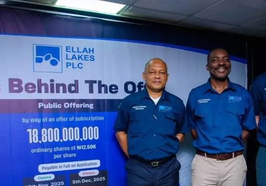 Ellah Lakes launches N235bn offer for subscription — Daily Nigerian