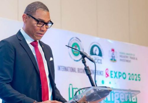 Nigeria Energy Deficit Needs Bold Investments All On Chairman Urges Bold Investments To Bridge Energy Gap in Nigeria • Channels Television