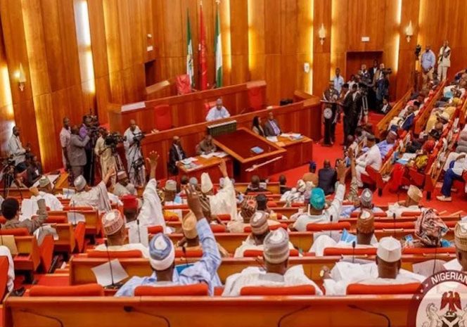 Outrage as Nigerian Senate moves to hike tax on soft drinks