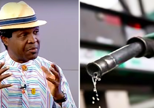 Nigerians Can't Afford Another Fuel Scarcity — Tonye Cole • Channels Television