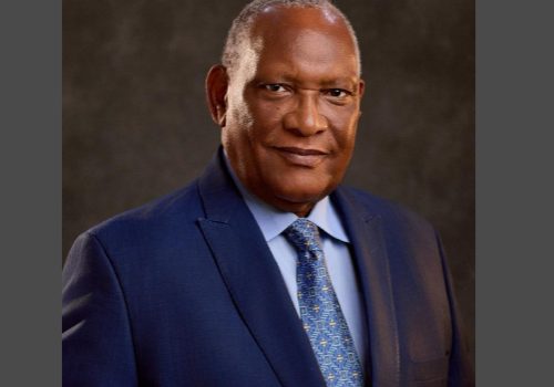 NMDPRA Working To Ensure Adequate Gas Supply At Affordable Prices — CEO Mohammed • Channels Television