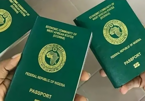 NIS Updates Passport Tracking System Amid Public Outcry Over Delay • Channels Television
