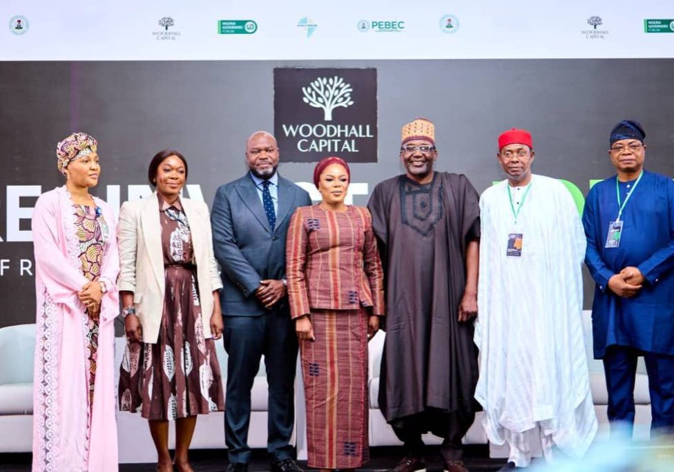 Nigeria Investment Drive Seeks $50 Billion Global Funding Woodhall Capital targets $50bn global investments into Nigeria -- Wusu — Daily Nigerian
