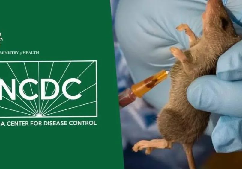 Nigeria records fewer Lassa fever cases but more deaths - NCDC