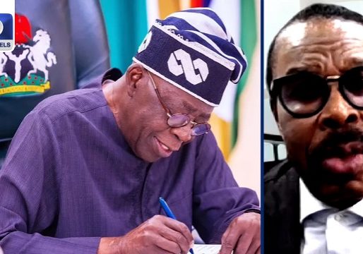 No Cause For Concern Over Tinubu’s New ₦1.15trn Loan Request – Rewane • Channels Television