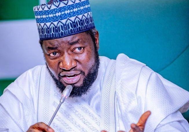 Rep. Gagdi rejects call for state police — Daily Nigerian