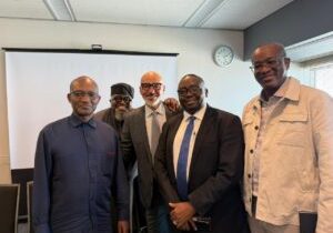 FG Eyes $238m Japan Loan For National Grid Expansion