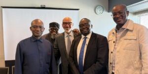 FG Eyes $238m Japan Loan For National Grid Expansion