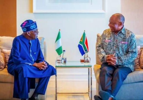 Nigeria South Africa Rivalry Sports Music and Politics in Tensions Nigeria South Africa Rivalry Sports Music and Politics in Tensions