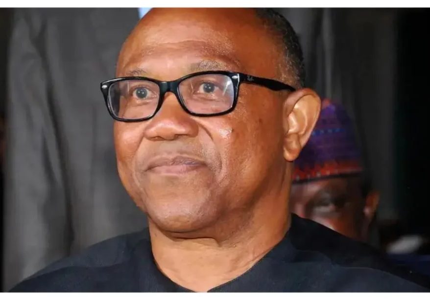 'AFCON trophy is within reach' - Peter Obi on Super Eagles' victory over Algeria