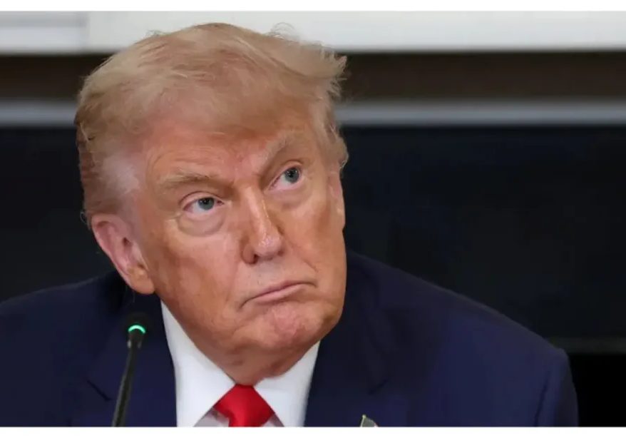 Extend airstrikes to North-East, North-Central - Benue community leaders beg Trump