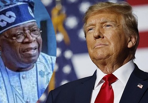 Nigeria US leaders to meet on genocide claims Tinubu to meet with Trump soon — Bwala — Daily Nigerian