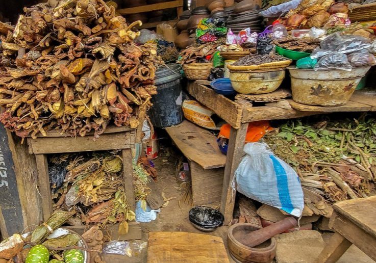 Nigerian govt begins documenting traditional medicine practitioners nationwide — Daily Nigerian