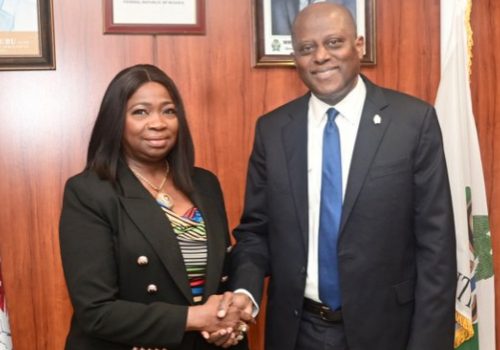 Nigeria diaspora remittances triple to $600 million monthly FG Hails CBN, Diasporans For $600m Monthly Remittances • Channels Television