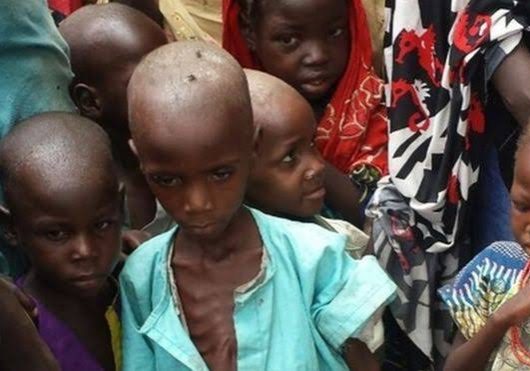 Nigeria malnutrition concerns raised over hidden hunger and deficiencies Nigeria battling triple burden of malnutrition, says FG — Daily Nigerian