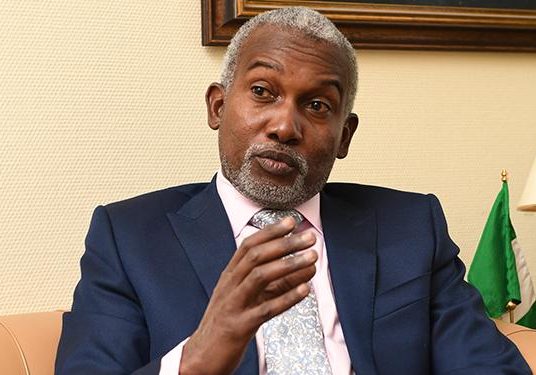 Tinubu urged to sack Foreign Minister over alleged collapse of Nigeria’s global image — Daily Nigerian