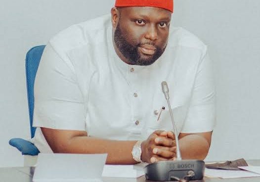 Nigeria suicide rates spark legislative action call Nigeria records 16,000 suicides annually, Senator calls for urgent legislative action — Daily Nigerian
