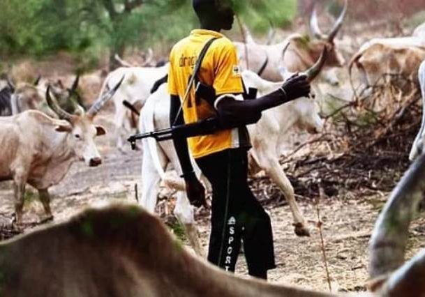 Nigerian Farmers Lose Millions to Alleged Herder Attacks