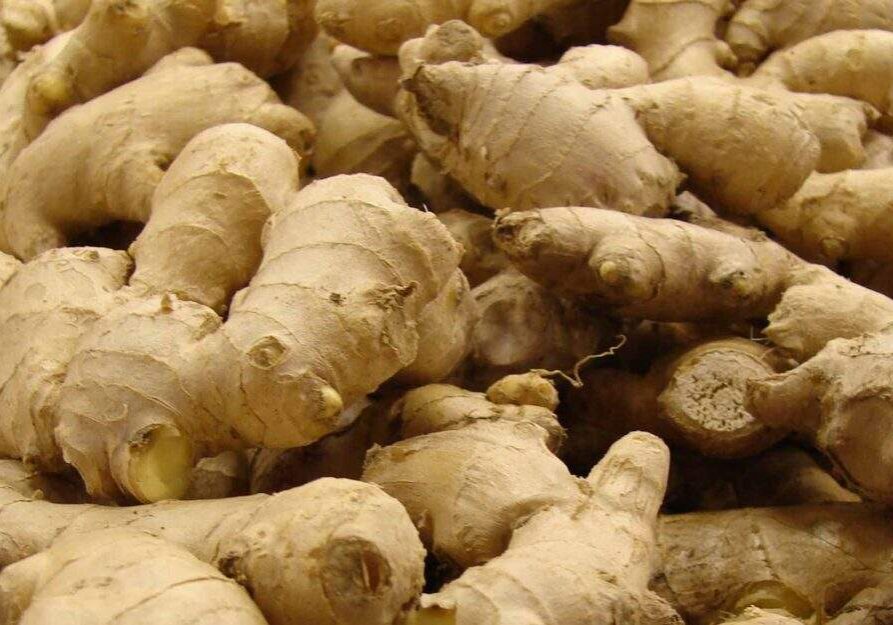 Nigerian Government Launches N12 Billion Recovery Plan for Ginger Farmers Nigerian Government Launches N12 Billion Recovery Plan for Ginger Farmers