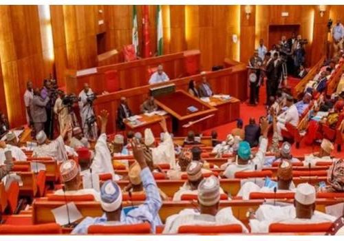 Nigerian Senate Passes Bill to Boost CBN Loans to Government Nigerian Senate Passes Bill to Boost CBN Loans to Government