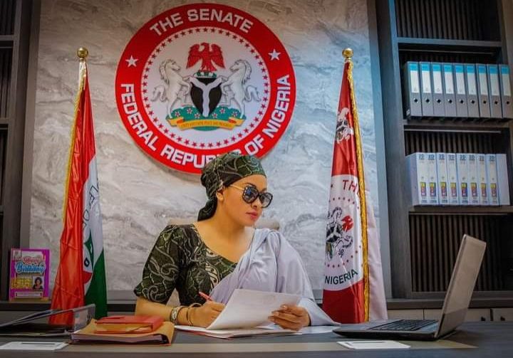 Natasha: Abuse of Senatorial privileges - Amadi slams Nigerian Senate