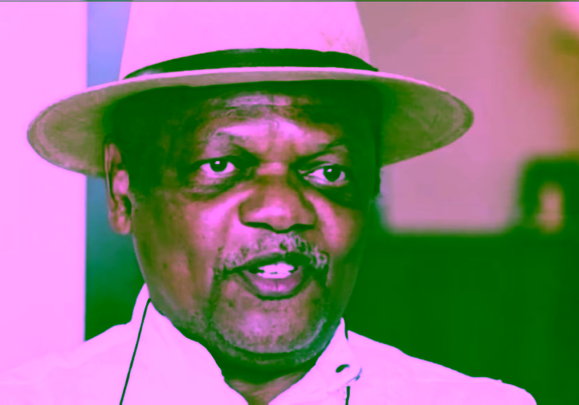 Nigerian Senate's suspension of Natasha disrespectful to Kogi constituents — Nigerian Senate's suspension of Natasha disrespectful to Kogi constituents — Peterside